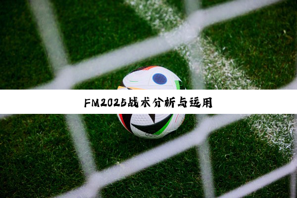 FM2025战术分析与运用